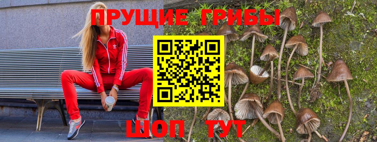Галлюциногенные грибы прущие грибы Гусев